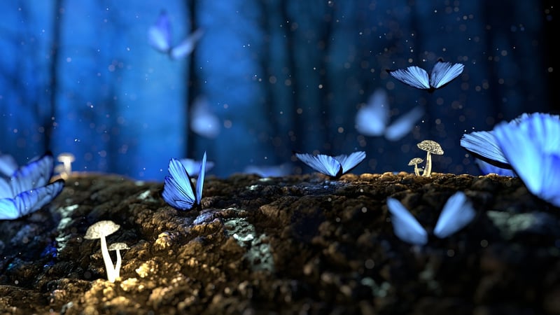 Enchanted hideaways