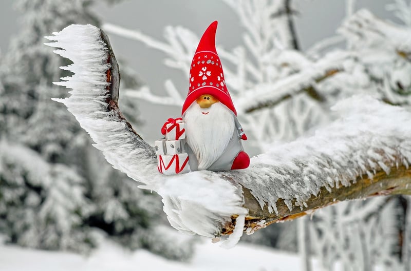 Gnome
